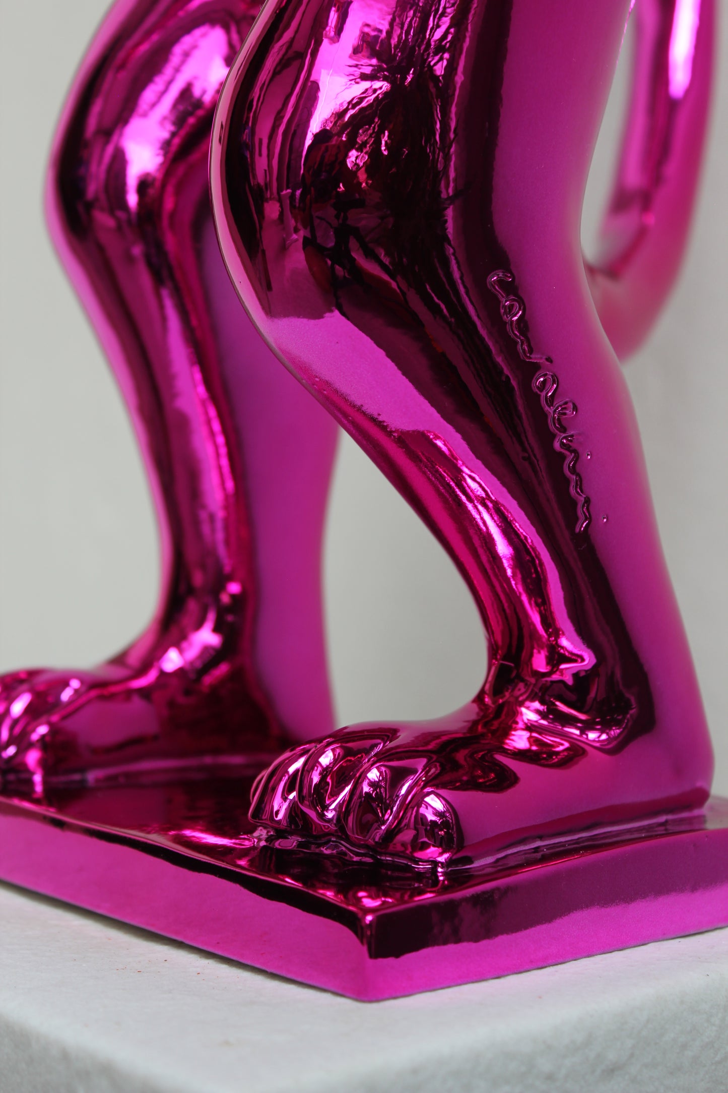 PoPCat Fucsia