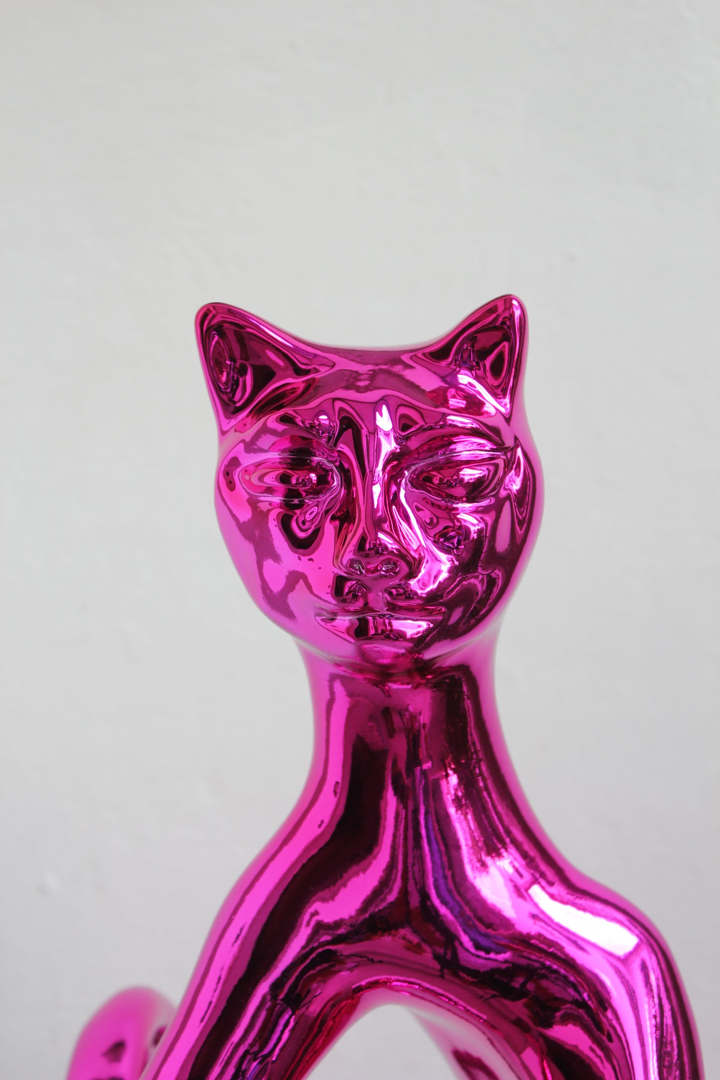 PoPCat Fucsia