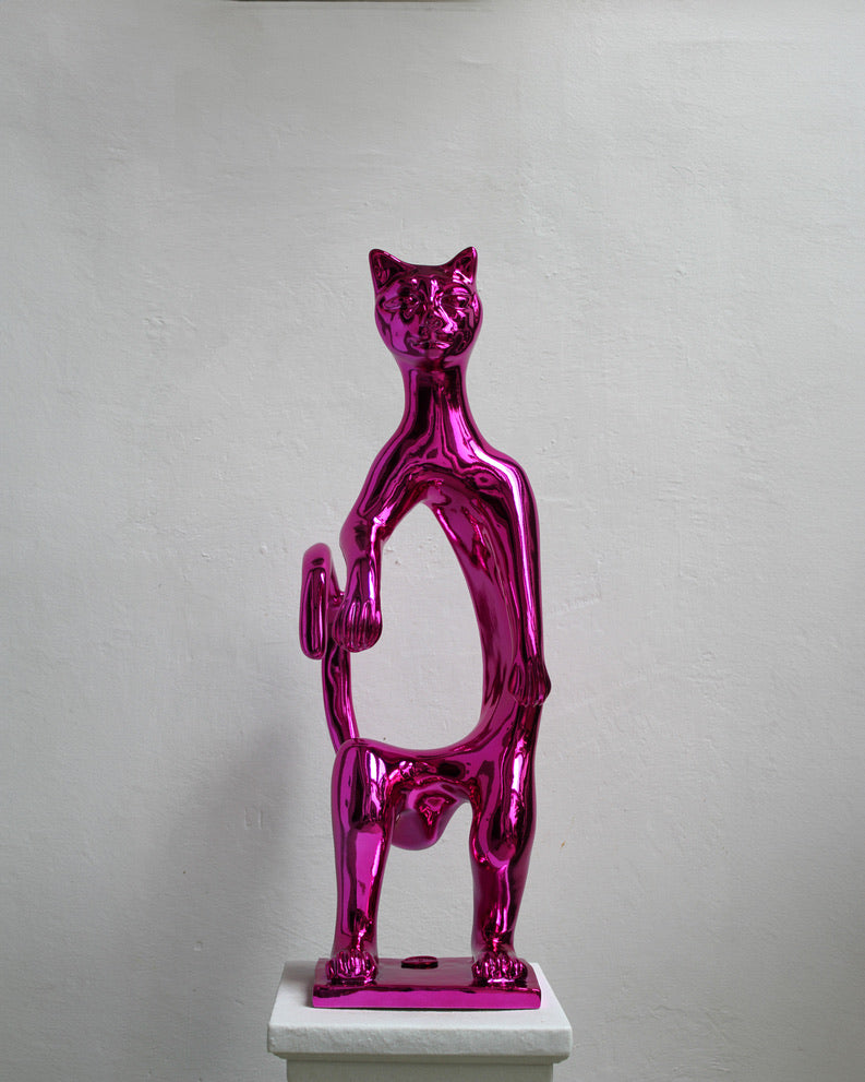 PoPCat Fucsia