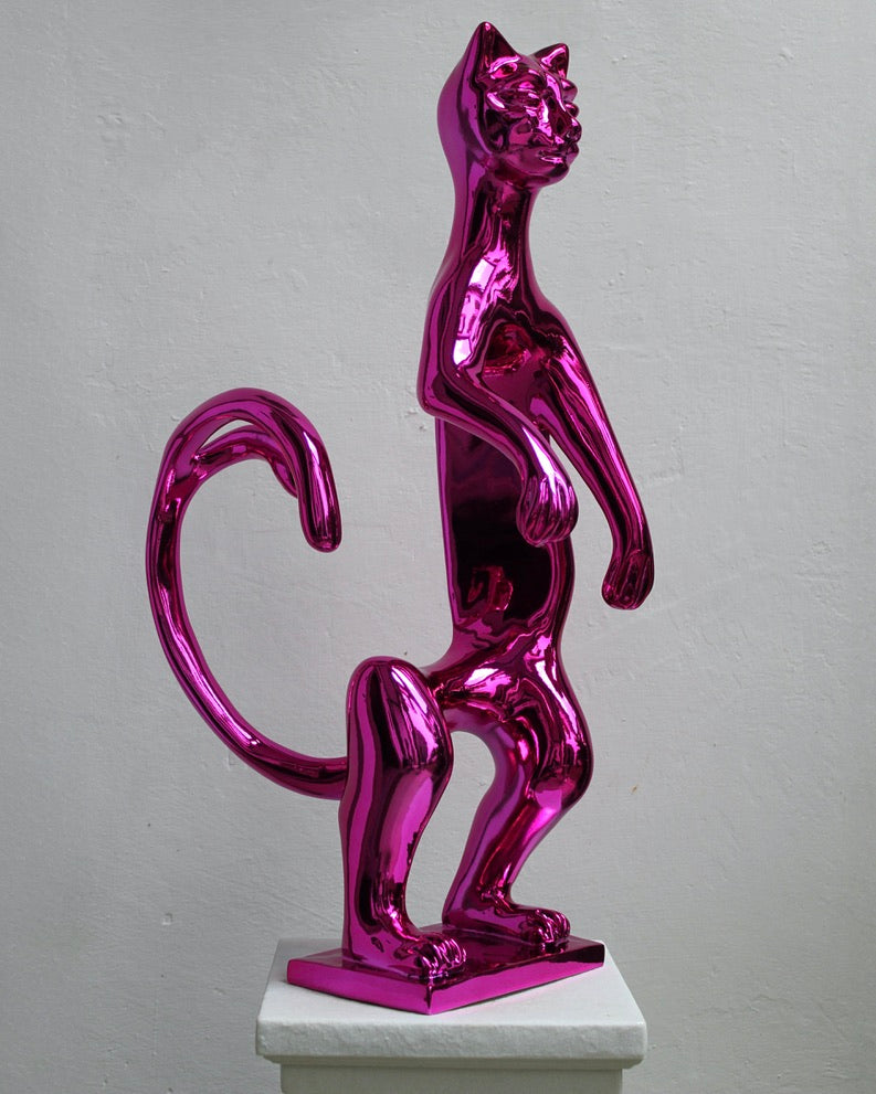 PoPCat Fucsia