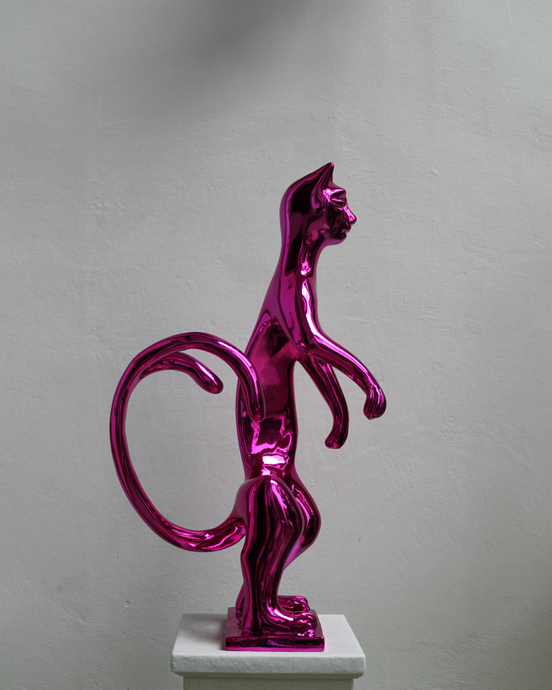 PoPCat Fucsia