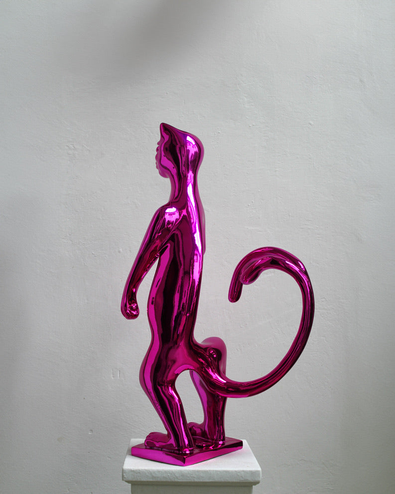 PoPCat Fucsia