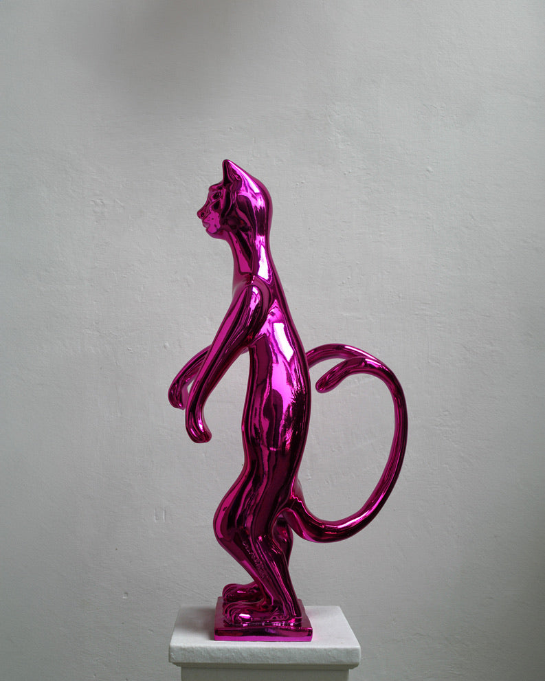PoPCat Fucsia