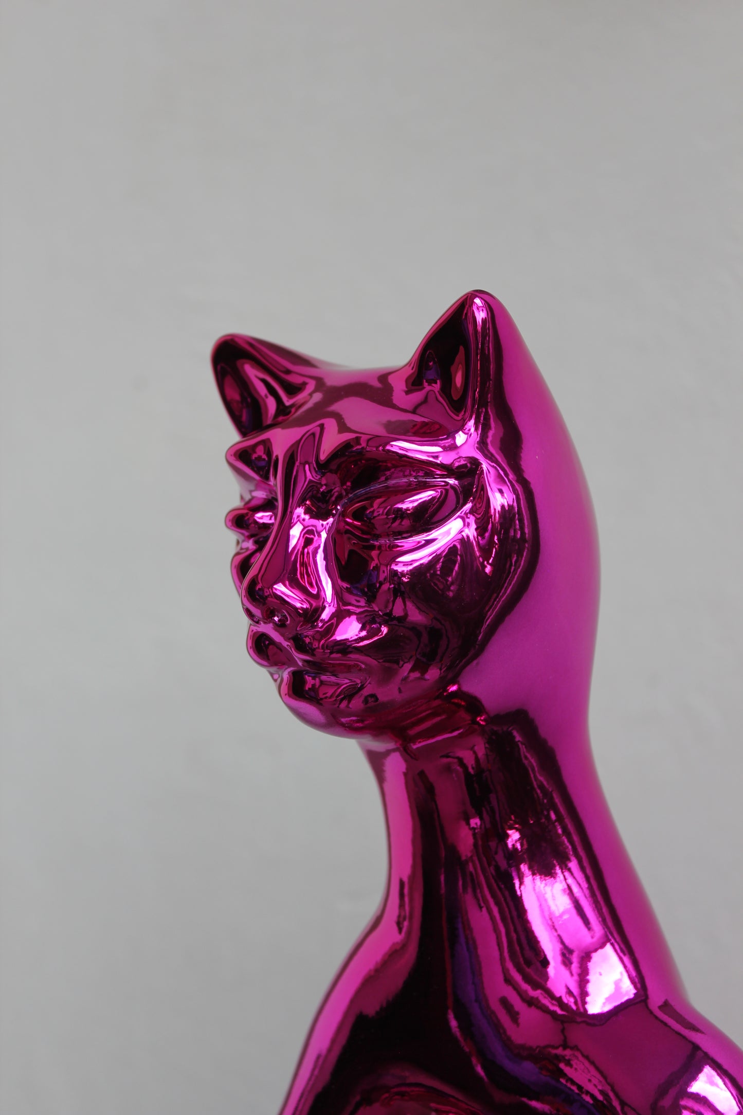 Pop Cat Fuchsia
