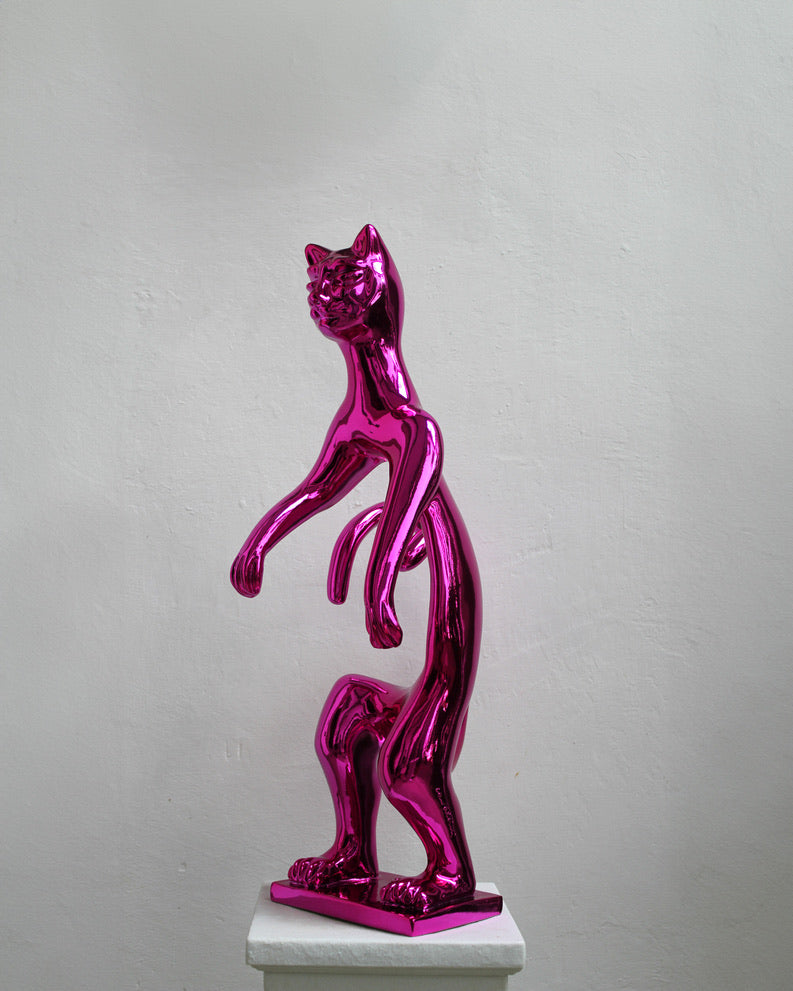 PoPCat Fucsia